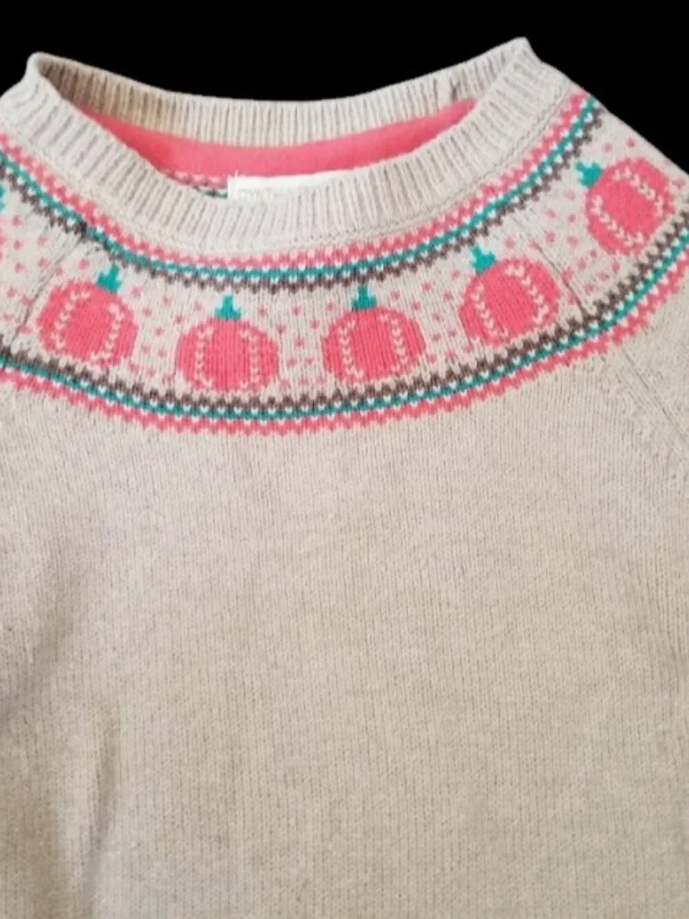 CYNTHIA ROWLEY Tan Fall Themed Knit Skirt Set Girls Size 5-6